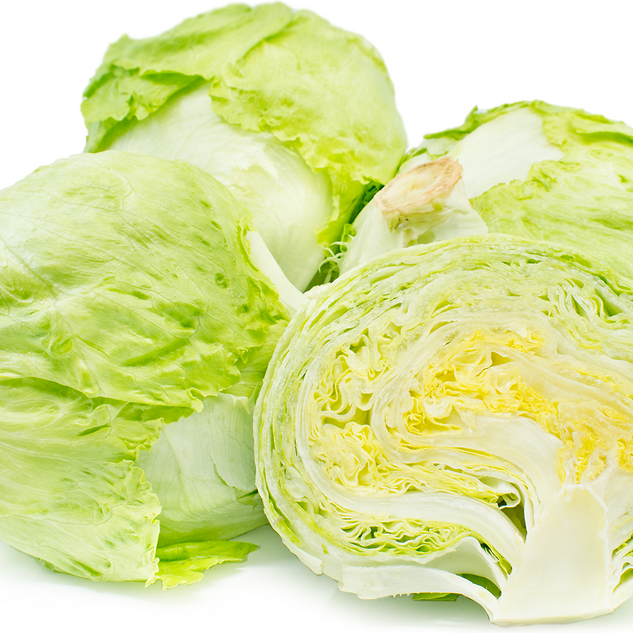 iceberg lettuce